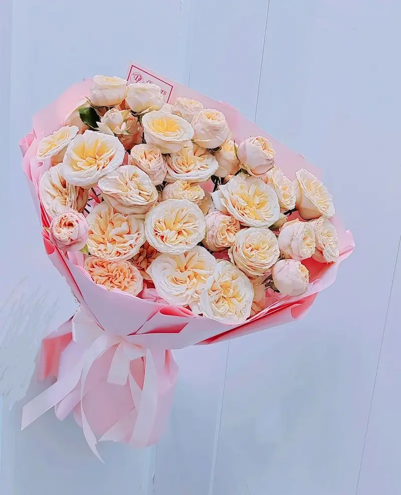 Розовая любовь